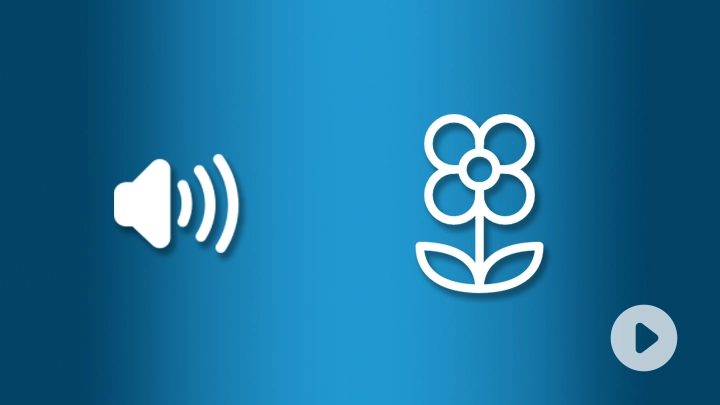 Cover Abeille