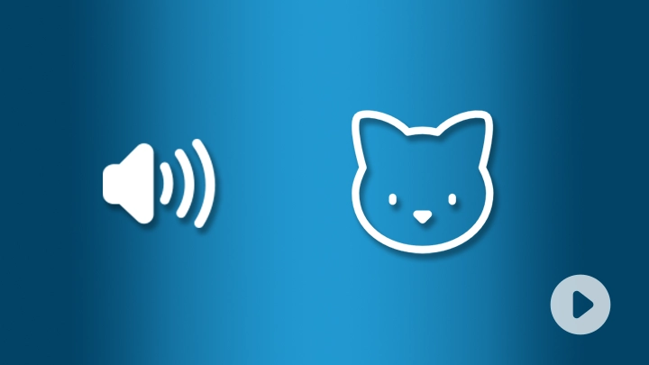 Cover Personnage Chat
